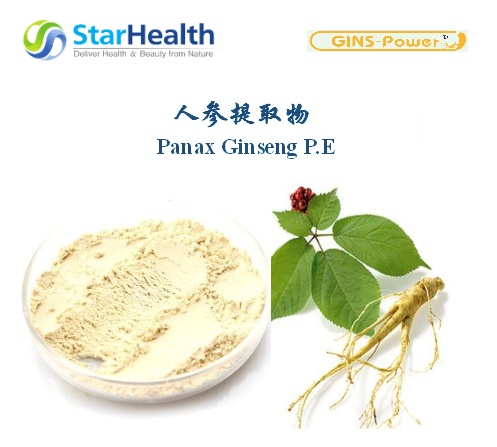 人參提取物 - Panax Ginseng P.E