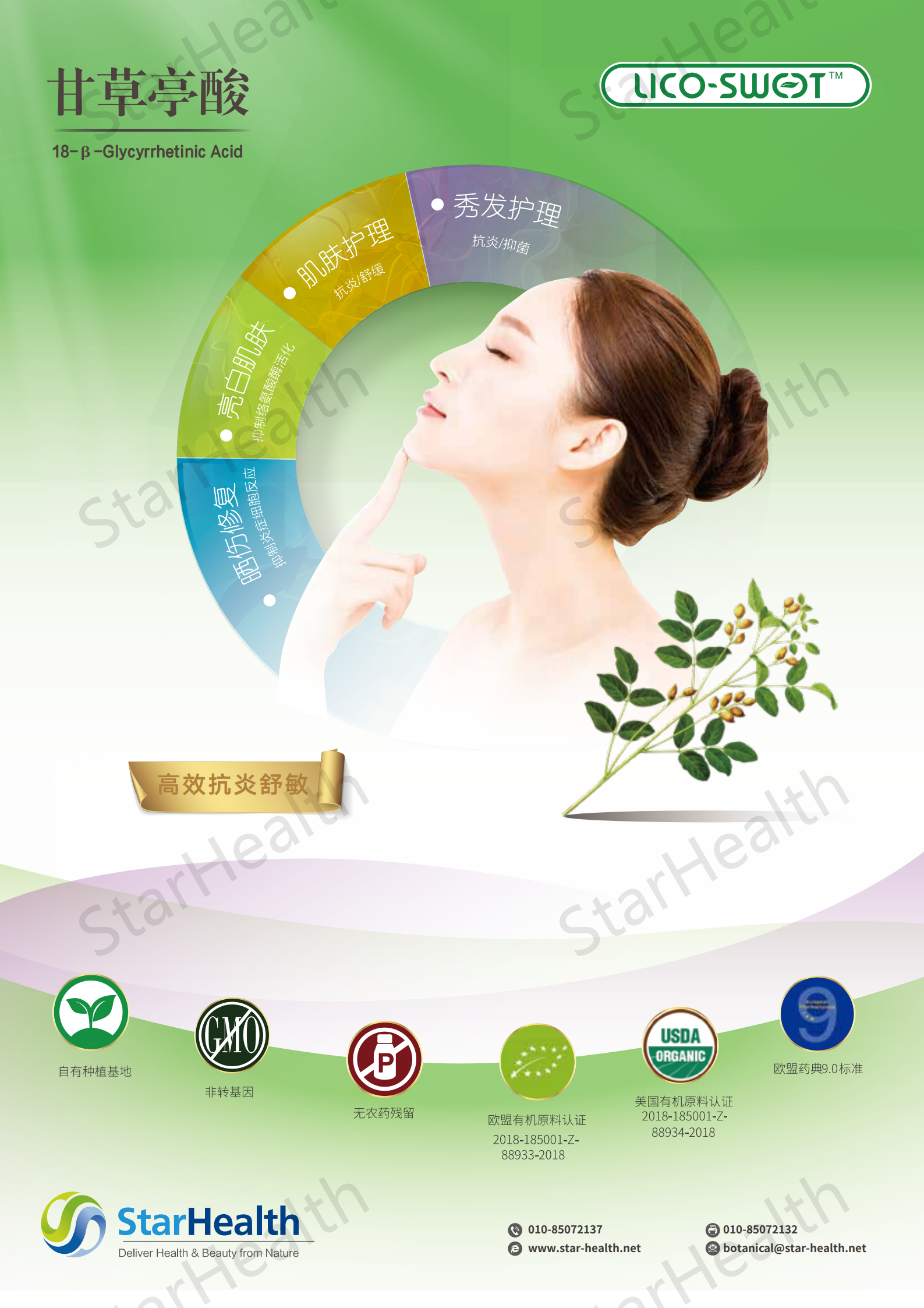 甘草亭酸18-&beta;-Glycyrrhetinic Acid - Glycyrrhiza